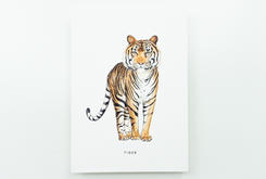 Postkaart tijger