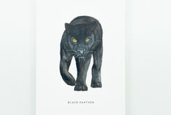 Postkaart zwarte panter