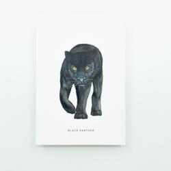 Postkaart zwarte panter