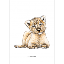 Postkaart baby leeuw