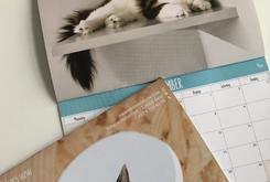 Jaarkalender 2023
