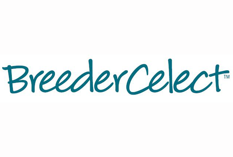 Breedercelect_logo_800x505 Breedercelect_logo_800x505