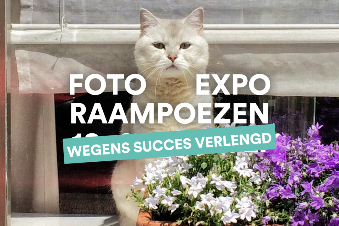 Facebook_Event_Banner_2