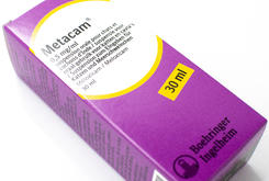 Voor de poezen van DC Metacam Voor de poezen van DC Metacam
