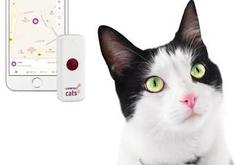 Weenect GPS tracker voor katten 