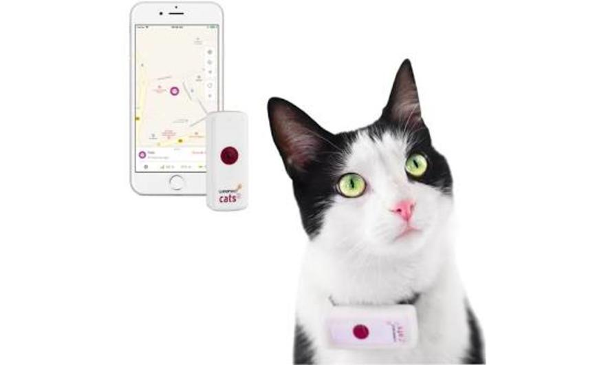 Weenect GPS tracker voor katten 